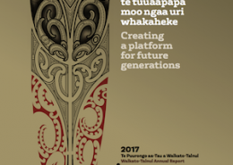 Record Annual Results & Achievements for Waikato-Tainui Image Thumbnail